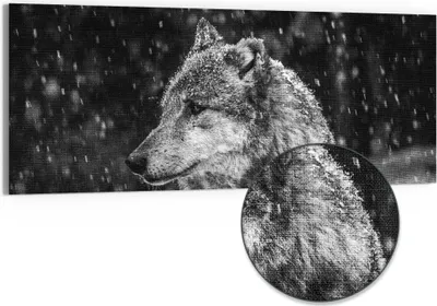 Produktbild von DEQORI Hybrid Leinwand Bild 150x60 cm 'Winterwächter' Wandbild Glas flach modern