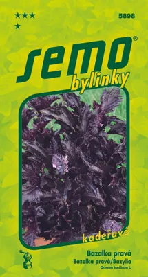 Zdjęcie produktu dla Bazylia pospolita 'Purple Ruffles'