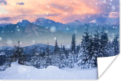 Produktbild von MuchoWow® Poster Schnee - Himmel - Wald - Winter 180x120 cm - Fotoplakat