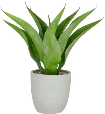 Produktbild von Kunstpflanze Agave H 55 cm grün