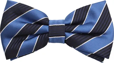 Produktbild von Fabio Farini - 1 Stück Herren Streifen Fliegen - Männer Querbinder Vorgebunden Bowtie Streifen - Blau/Schwarz/Weiß