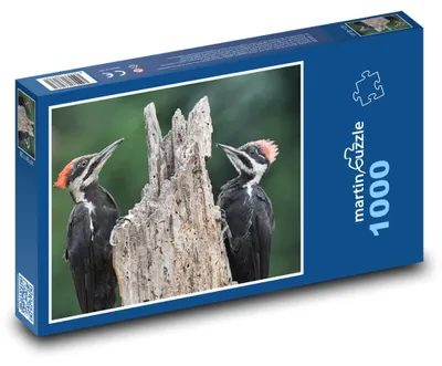 Zdjęcie produktu dla martinpuzzle - Puzzle 1000 elementów - Datel - pták