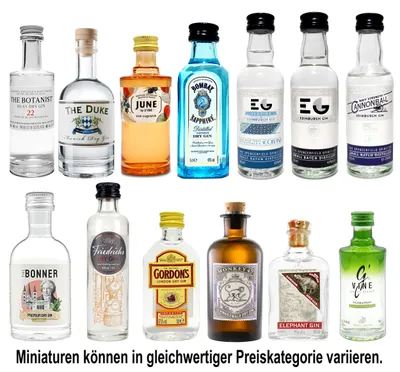 Produktbild von Gin Mini Set Probierset 13er - G Vine + Bombay + Edinburgh + Gordons + Monkey 47 + Friedrichs + The Bonner + The Botanist + Duke + June + Elephant Gin- NEU