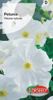 Produktbild von Petunia-Samen „Zawieratka biała“ 0,02 g – Torseed