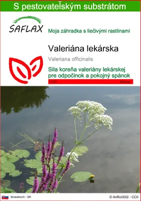 Obrázok produktu pre SAFLAX - valeriána lekárska - Valeriana officinalis - 200 Semená - S pestovateľským substrátom bez klíčkov