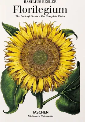 Immagine prodotto di Basilius Besler. Florilegium. The Book of Plants wer. angielska