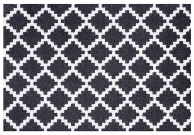 Produktbild von NYVI Fußmatte Home - Wetterfest, Rutschfest, für Innen und Außen - Schmutzfangmatte Türmatte - 50x70 cm Rechteckig - Schwarz Weiß