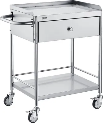 Zdjęcie produktu dla Dwupoziomowy wózek laboratoryjny, wózek na sprzęt, urządzenia medyczne, wózek pomocniczy, 201 nierdzewna stal. Przenośny wózek z półkami i szufladami, udźwig 100 kg, wymiary 710 x 421 x 785 mm (z uchwytem). Wózek laboratoryjny na kółkach