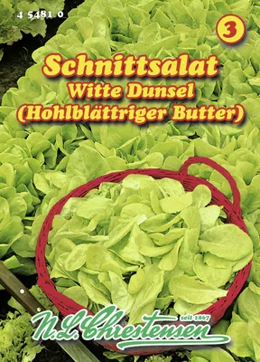 Produktbild von Schnittsalat Witte Dunsel | Salatsamen von N.L. Chrestensen [MHD 01/2026]