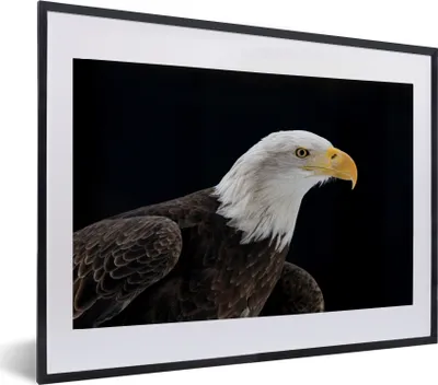Produktbild von MuchoWow® MuchoWow® Gerahmtes Poster Adler - Vogel - Schnabel - Schwarz 60x40 cm - Poster mit zchwarzem Bilderrahmen - Schlafzimmer - Plakat in Rahmen - Drucken