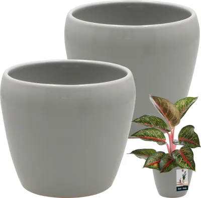 Obrázek produktu pro KOTARBAU® 2 ks květináč šedý vnitřní kulatý ⌀ 12 cm V: 12 cm glazovaný keramický květináč vnitřní květináč keramický květináč vnitřní květináč na orchideje keramický květináč velký květináč