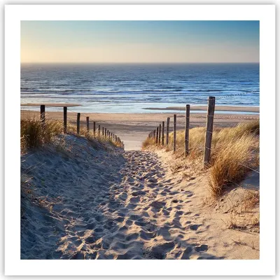 Produktbild von Poster - Poster ohne Rahmen - Meer Strand Düne - 60x60 cm - Wand Bild - Wanddeko - Wandbilder - Kunstposter - Wandposter - Bilder - Kunstdruck - Wanddekoration - Wandbild - P2XAC60x60-3612