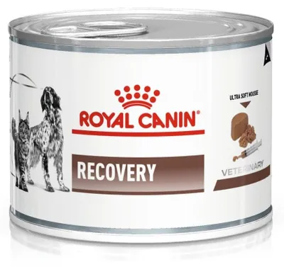Zdjęcie produktu dla Royal Canin Vet Recovery Canine Feline 195g
