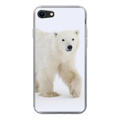 Produktbild von MuchoWow® Handyhülle Schutzhülle Hülle für iPhone 7 Eisbär - Schnee - Weiß Silikon Softcase Handy Hülle - Kartenhalter
