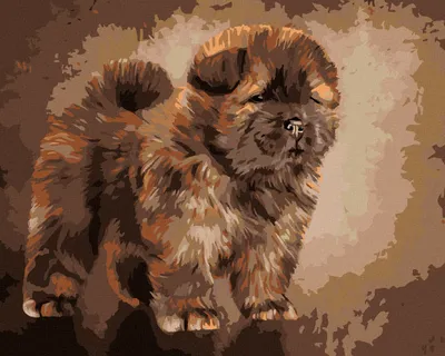 Immagine prodotto di Zuty - Dipingere con i numeri - CUCCIOLO CHOW CHOW, 40x50 cm, senza cornice e senza tela tesa