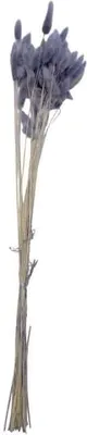 Obrázok produktu pre Trockenblume - Hasenschwänzchen Lagurus - ca. 60 cm - grau