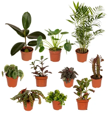 Produktbild von Außenseiterbox 10x - Ø12cm