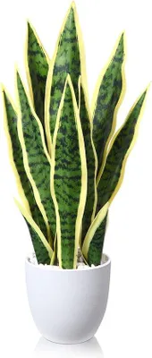 Image de Plante artificielle de 40 cm pour la décoration d'intérieur, verte
