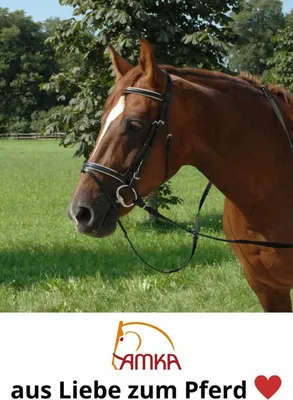 Produktbild von AMKA Trensenzaum, Nylon, Farbe:schwarz, Größe:Pony