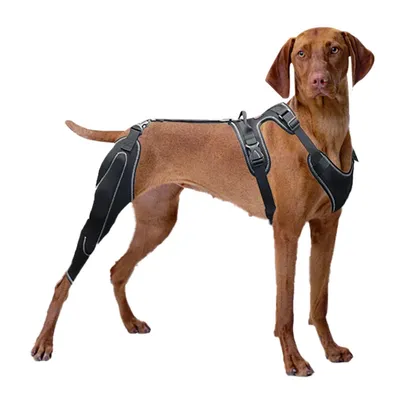 Productafbeelding van Kniebandage voor Honden, Verstelbare Steun voor Achterpoot