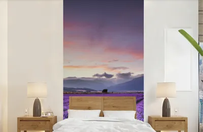 Produktbild von MuchoWow® Fototapete für Wohnzimmer oder Schlafzimmer Wandtapete Vinyl Motivtapete Ein schönes Lavendelfeld bei Sonnenuntergang - 120x240 cm - Hintergrundbild