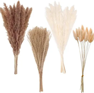 Produktbild von INF 75 Stück Trockenblumenstrauß für florale Dekorationen & Zuhause
