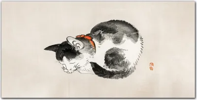 Produktbild von Coloray Bild aus Leinwand 140x70 Leinwand Dekoration - Haustier Katze