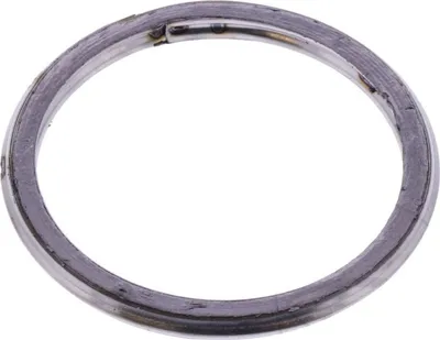 Immagine prodotto di Guarnizione di raccordo dello scarico per KTM Supermoto 690 R LC4, anni di produzione 2008-2010, di pamoto - Nuova