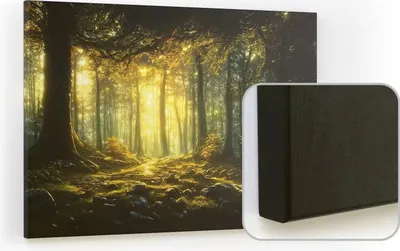 Produktbild von Magnettafel CANVASboards 90x60 cm - Märchen Wald