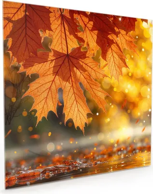 Produktbild von Küchenrückwand Spritzschutz Glas mit Motiv Herbstblätter 40 x 40 cm