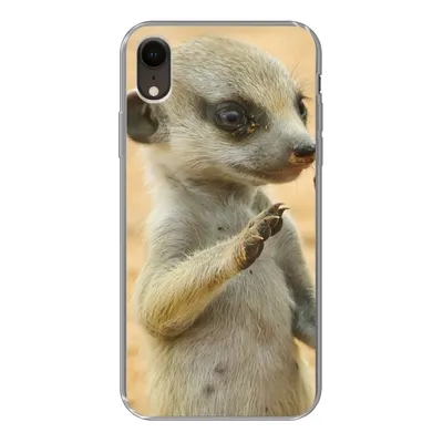 Produktbild von MuchoWow® Handyhülle Schutzhülle Hülle für iPhone XR Erdmännchen - Braun - Tier Silikon Softcase Handy Hülle - Schutzdeckel
