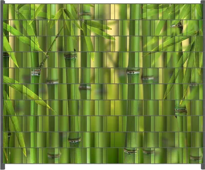 Produktbild von Wallario Zaunsichtschutz mit Motiv Grüner Bambuswald für Ein- und Doppelstabmatten Zäune in der Größe 250 x 200 cm