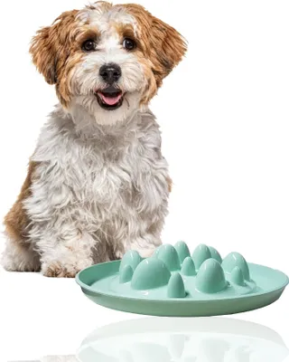 Produktbild von Rohrschneider Antischlingnapf Hunde | Antischlingnapf Katze | Futternapf Katze | Futternapf Hund | Fressnapf Hund | Fressnapf Katze, Farbe:grün