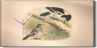 Produktbild von Küche Wohnzimmer Wand Leinwand Uhr 60x30 Vögel Wild Tiere Zeichnung Kunst - weiße Hände