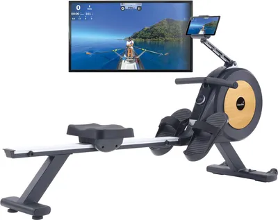 Produktbild von Skandika Rudergerät Njord P6-G (grau)