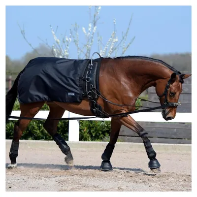 Produktbild von Longierdecke RAIN 50