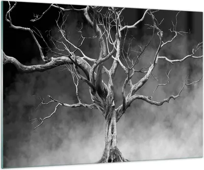 Produktbild von Bilder auf glas - Einteilig - Schwarzweiß Äste Rauch - 100x70cm - Glasbilder - Wandbilder - Bilder - zum Aufhängen bereit - Wanddekoration aus Glas - Glas Bilder - Wandbild auf Glas - GAA100x70-4346