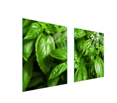 Image de Plaque de protection en verre pour plan de cuisson Planche à découper 85x52 cm