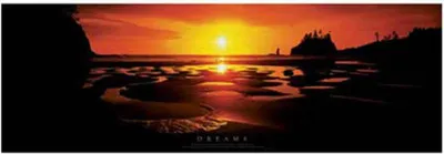 Produktbild von Motivational - Türposter - Dreams