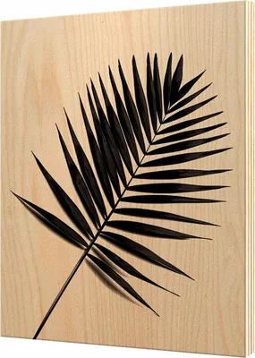 Image de Affiche en bois Image sur contreplaqué 28x39cm SP862 cz