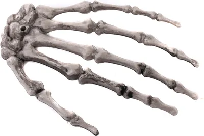 Produktbild von Erschreckendes Halloween-Dekorationsset: Ein Paar Skeletthand-Klauen für Spukhaus-Requisiten, Party-Schreckdeko