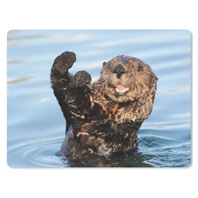 Produktbild von MuchoWow® Mauspad Mousepad Otter im Wasser 40x30 cm - Mousepads - Maus Mat - Pad - Mausunterlage - Anti Rutsch
