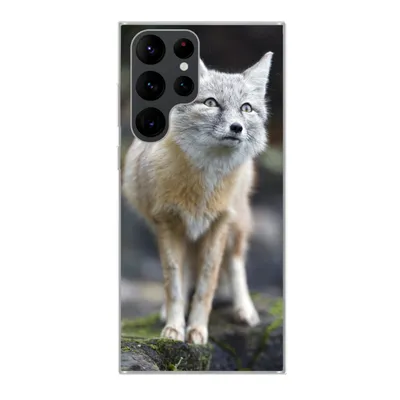 Produktbild von MuchoWow® Handyhülle Schutzhülle Hülle für Samsung Galaxy S22 Ultra Fuchs - Makro - Baum Silikon Softcase Handy Hülle - Abbildung