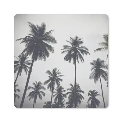 Produktbild von MuchoWow® Mauspad Mousepad Palme - Tropisch - Natur 30x30 cm - Mousepads - Maus Mat - Pad - Mausunterlage - Gaming