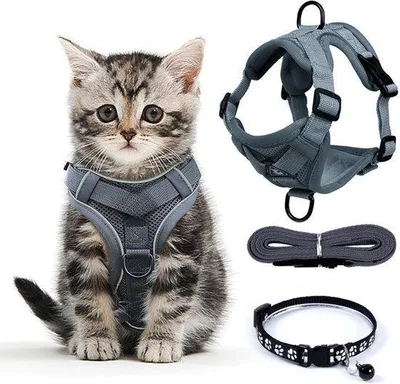 Produktbild von Famanu Katzenharness mit Leine - Komfortabel und sicher