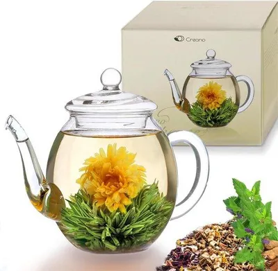 Immagine prodotto di Teiera in vetro da 500 ml per tisane e tè sfusi, resistente al calore