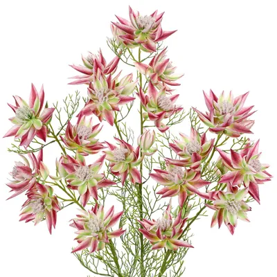 Produktbild von 3 Stück Künstliche Blumen in Rosa für Innendekoration