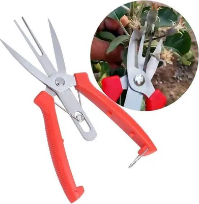 Image de Ciseaux en acier pour fleurs, plantes, bonsaïs et cueillette de fruits