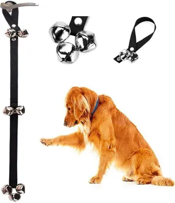 A golden retriever dog is shown sitting and reaching towards a hanging dog door bell.