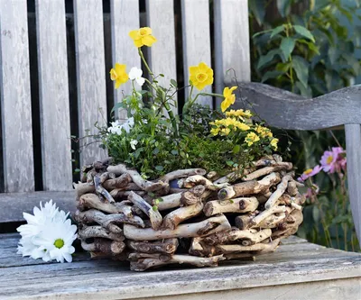 Image de Planteur en bois flotté rond, Ø 38 cm, bac à plantes, pot de fleurs, pot à plantes, vase à plantes, décoration de jardin pour l'extérieur